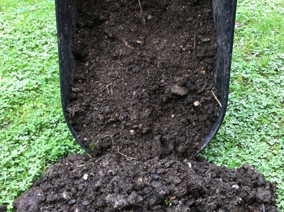 Black Gold - Compost